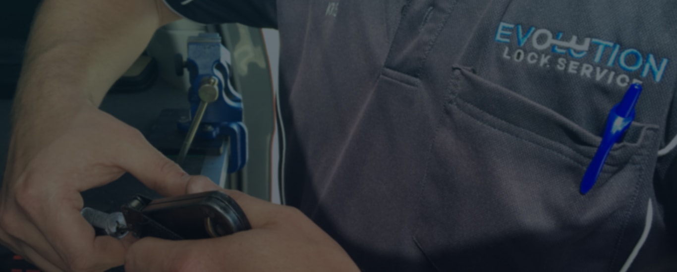 Evolution Lock Services